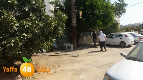 dahmashasudwq (2).jpg